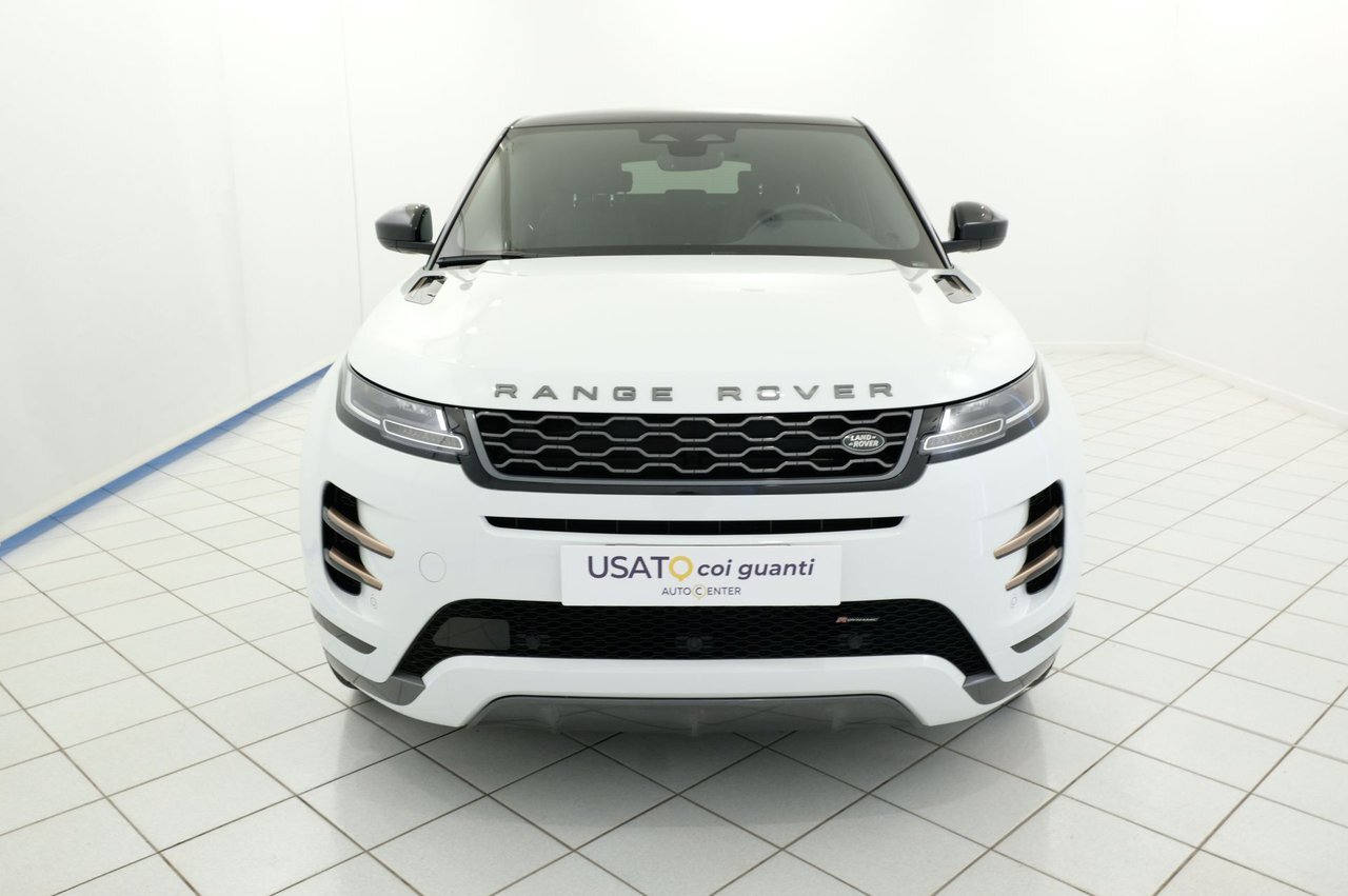 10727885 Uy YE4 LO Flw M Sg S8 X