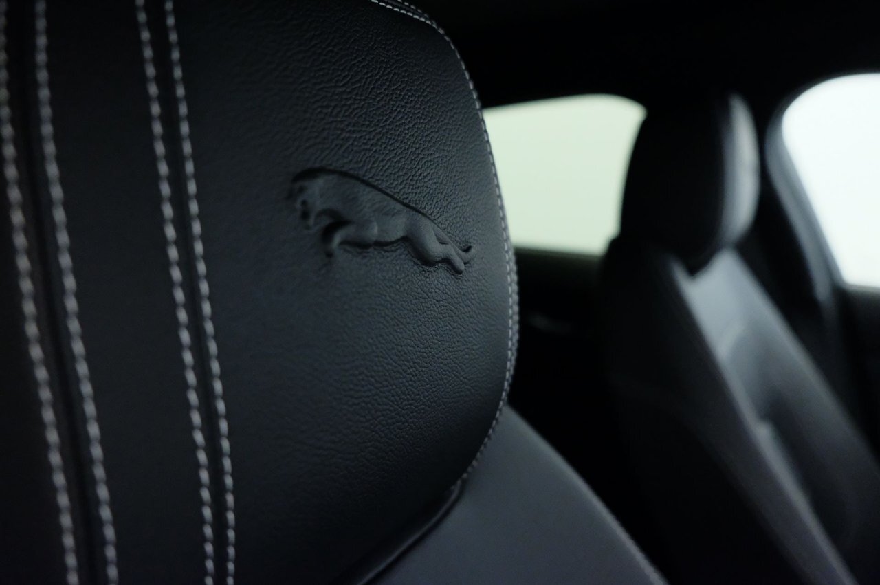 6197174 1662632127256